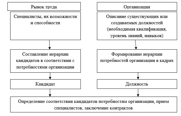 Дипломная работа по теме Современные технологии отбора и найма персонала
